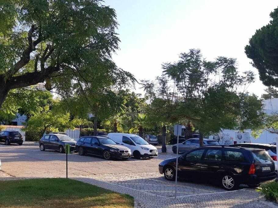Green House By Fhr Estacionamento E Wifi クアルテイラ エクステリア 写真